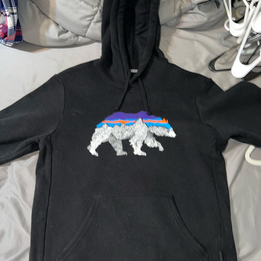 Patagonia hoodie